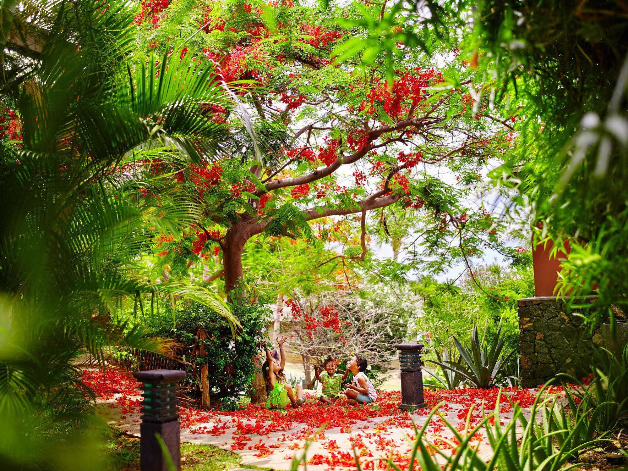 Iloha Seaview Hotel Saint-Leu Bagian luar foto